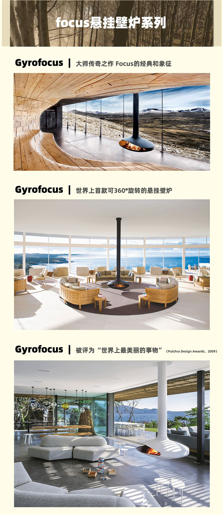 法國(guó)Focus懸掛式壁爐-Gyrofocus.jpg