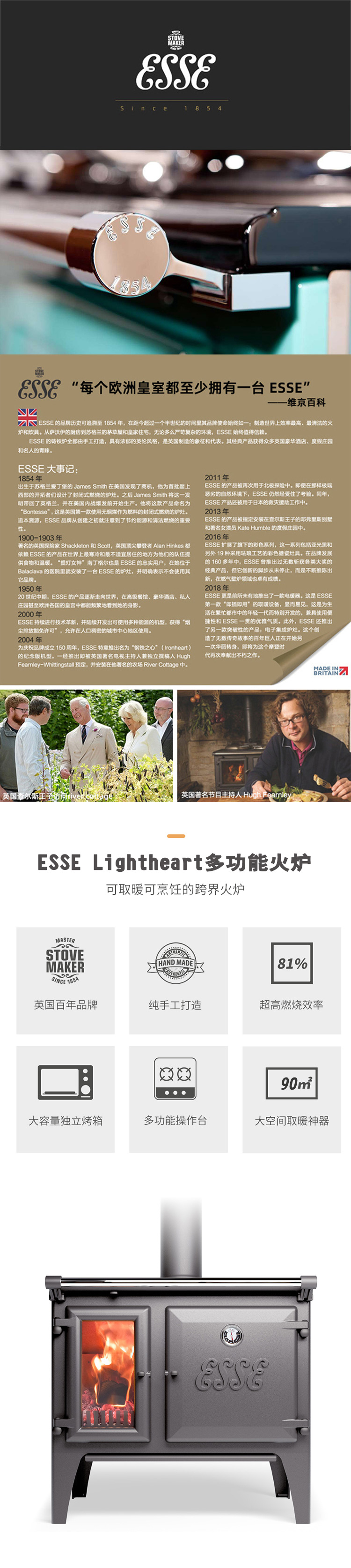 英國ESSE Lightheart 可以做飯的進(jìn)口燃木壁爐1.jpg